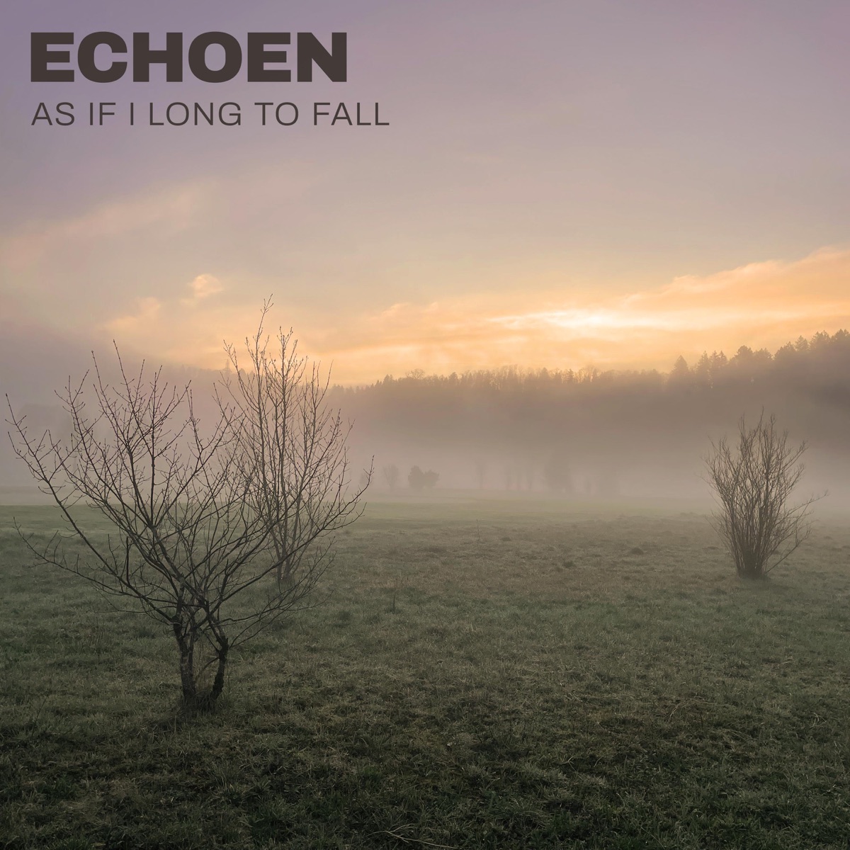Cover von As if I long to fall von ECHOEN